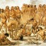 I nostri corpi riceveranno un corpo dal Signore I nostri corpi riceveranno un corpo dal Signore