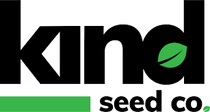 Everything You Need to Know About California Weed Seeds